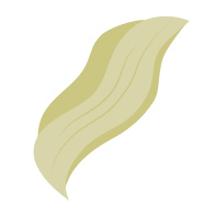 icon-ext
